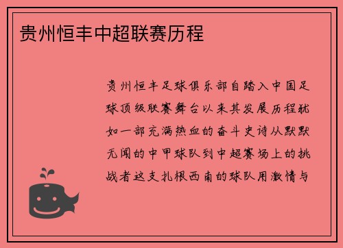 贵州恒丰中超联赛历程